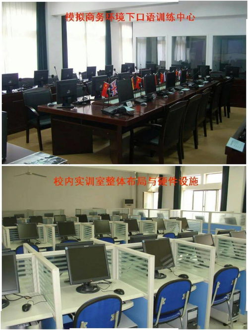 选择经彩，定义国贸——欢迎报考山东青年政治学院国际经济与贸易专业